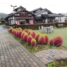 道の駅の前からはたくみの家が見える