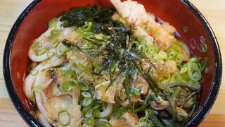 少し太めのぷっくりもっちりとしたうどん