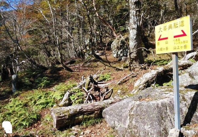 修験道の道として世界遺産に認定