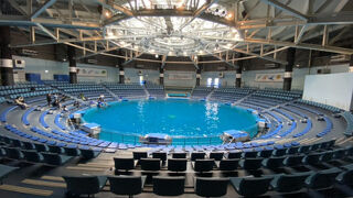 年間パスポート！