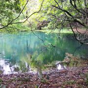 神々しい池