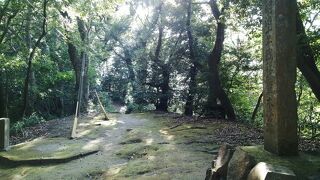 寂し気なところ