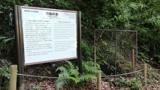 名水100選と思いきや…