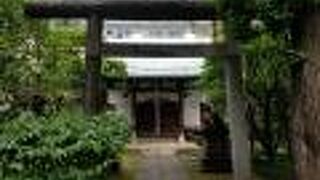 密林の中にある神殿か何かのよう