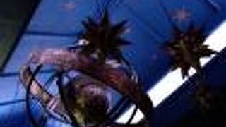 ローブなどが売ってます