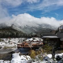 紅葉と雪のコントラストが最高