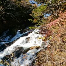 滝の周囲には赤く染まった木々が彩る