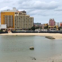 すなはまの黒いものがコンテナバック