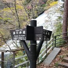 滝に沿って湯ノ湖までの遊歩道が続く