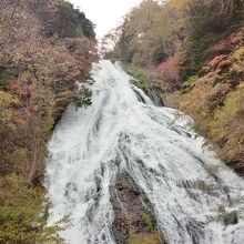 両側の木々の紅葉が美しい