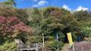 福鬼伝説の地! 鬼岩公園