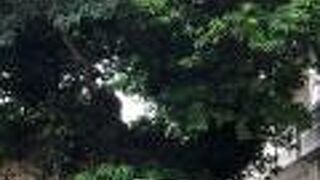 パワースポット！