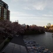違う角度から桜を観賞でき超おすすめです。