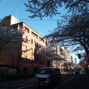 ライトアップもされて、桜祭りも超おすすめです。