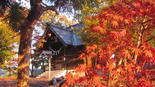 小野幌神社