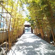 竹並木は、入口を入るとすぐにあって、見つけやすいです。