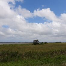 浮島湿原の風景