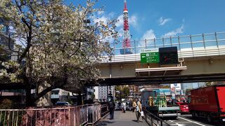 桜の花と東京タワーがみごとに調和
