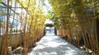 竹並木は、入口を入るとすぐにあって、見つけやすいです。