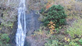 立ち止まって見てね