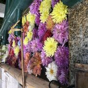 四季の花手水で有名な神社です。