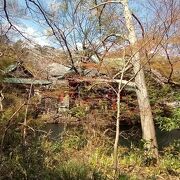 落ち着いた雰囲気が最高