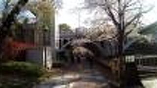 JR王子駅から近くて、アクセスがとても便利