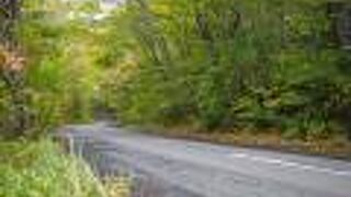 奥入瀬渓谷を走る