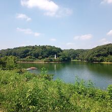 スタバ前の芝生から宮沢湖を望む