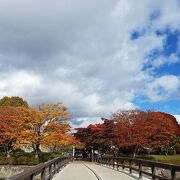 2021年10月28日、紅葉はとても綺麗でした。