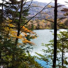 遊歩道から湖を望む