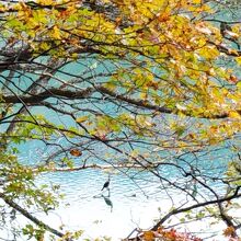 湖畔の紅葉がきれい