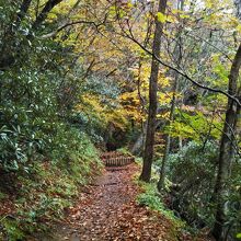 湖畔沿いの遊歩道