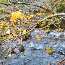 湖から湯川となって流れ出す（湯滝の手前）