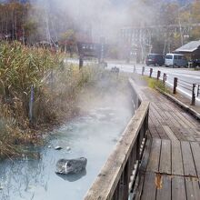 遊歩道沿いの湖面から温泉が湧く