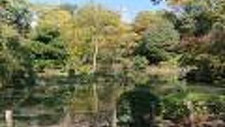 都会のオアシスです