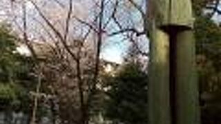 大きなオブジェと桜のコラボが良かった