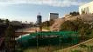 ソメイヨシノの花が満開で、最高