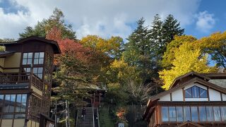 紅葉が綺麗です