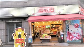 はりまや橋近くのかわいい土産物店