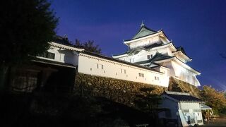 虎伏山にそびえる名城