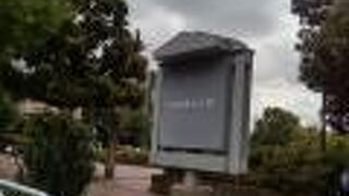 さくらの花が満開に