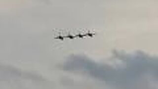 2年連続、コロナのため中止！