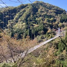 上野村スカイブリッジ