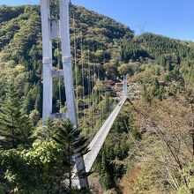 上野村スカイブリッジ