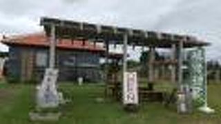 気になっていたモリンガ茶を買う