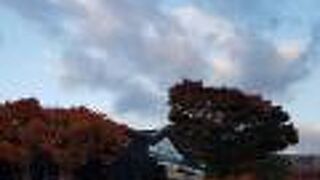 紅葉が綺麗でした。