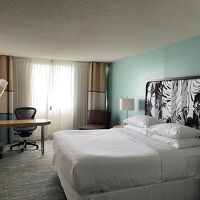 まあ普通の広さでしょう。