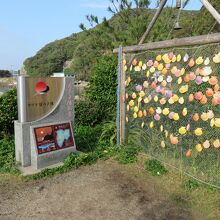 海上のマリア像