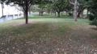 緑は綺麗でしたが・・・